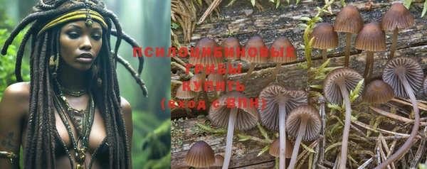 ALPHA-PVP Вяземский